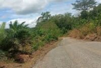 Salah satu proyek yang dikerjakan perusahaan asal kerinci di Bungo
