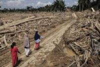 Foto ; Pasca Bencana Di Sumatera doc. CNN