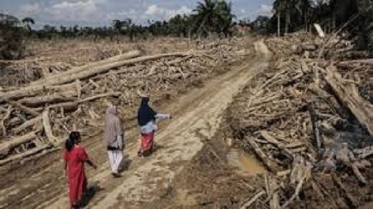 Foto ; Pasca Bencana Di Sumatera doc. CNN