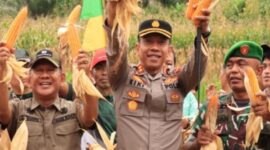 CREATOR: gd-jpeg v1.0 (using IJG JPEG v80), quality = 100?