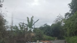 Kondisi jalan Dua Kecamatan, yakni Kecamatan Gunung Raya dan Batang Merangin Kerinci yang dalam kondisi rusak dan dihiasi semak belukar.