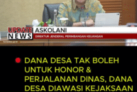 Penjelasan Dirjen Keuangan Terkait Dana Desa
