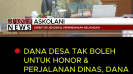 Penjelasan Dirjen Keuangan Terkait Dana Desa