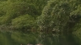 Penampakan jasad mengapung di Danau Merangin