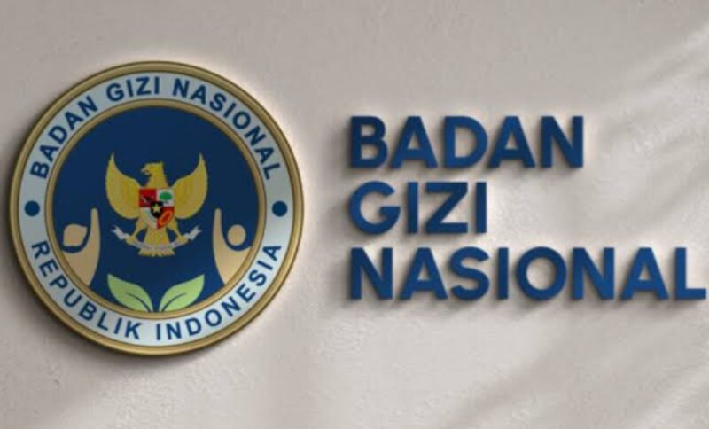 Ilustrasi Pengumuman Hasil Seleksi PPPK BGN