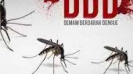 Kasus DBD Teror Warga Kerinci dan Sungai Penuh