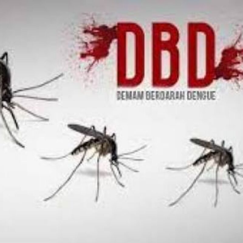 Kasus DBD Teror Warga Kerinci dan Sungai Penuh