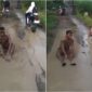 Viral di medsos seorang Kades Di sragen mandi lumpur, sebagai bentuk aksi protes jalan rusak.