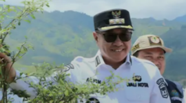 Aksi Penanaman 600 pohon disepanjang Sungai Batang Merao oleh Pemkot Sungai Penuh, dipimpin langsung Walikota Sungai Penuh, Alfin