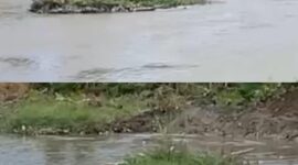 Kondisi Sungai Batang Merao pasca Sungai Batang Merao menyusut