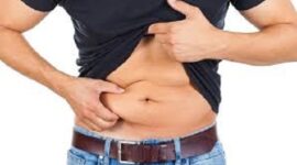 Ilustrasi Lemak Visceral yang sebabkan perut buncit