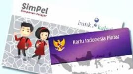 Ilustrari PIP diprediksi akan cair Januari 2026