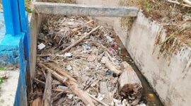 Pintu irigasi dibuka seadanya, petani lahan sawah AHT kekeringan