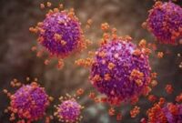 Ilustrasi Super Flu Virus Influenza A(H3N2) yang sudah masuk Indonesia