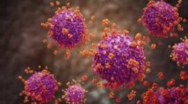 Ilustrasi Super Flu Virus Influenza A(H3N2) yang sudah masuk Indonesia