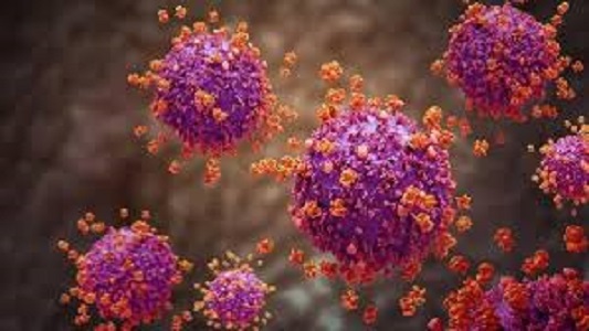 Ilustrasi Super Flu Virus Influenza A(H3N2) yang sudah masuk Indonesia