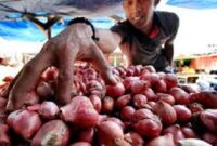 Ilustrasi harga Bawang di pasar tradisional Kerinci anjlok