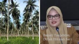 Bupati Tanjung Jabung Timur (Tanjabtim) Jambi, Dillah Hikmah Sari