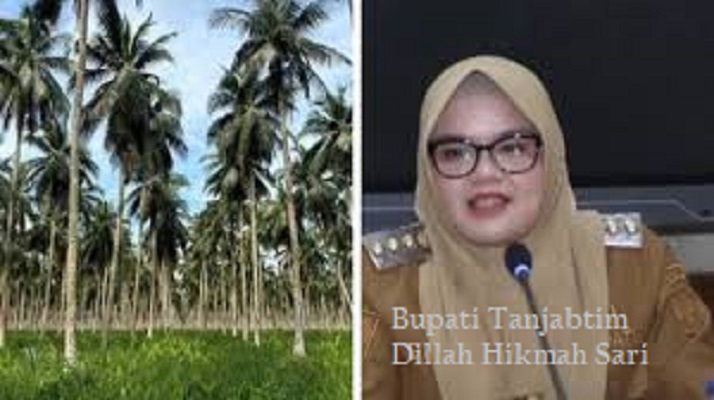 Bupati Tanjung Jabung Timur (Tanjabtim) Jambi, Dillah Hikmah Sari