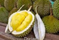 Batas aman makan durian