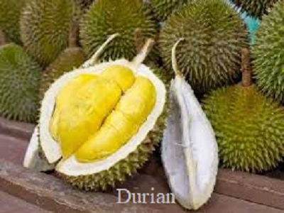 Batas aman makan durian