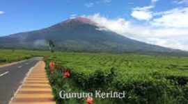 Gunung kerinci masih ditutup untuk sementara waktu karena akan ada ritual adatr dan pembersihan lingkungan