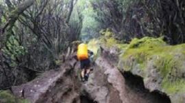 Ilustrasi pendakian Gunung Kerinci selama Nataru