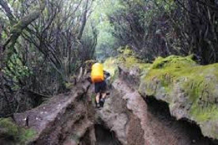 Ilustrasi pendakian Gunung Kerinci selama Nataru