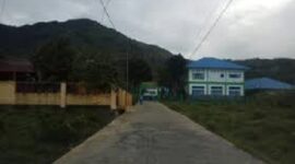 Tampak kondisi jalan yang berad di desa tanjung pauh mudik