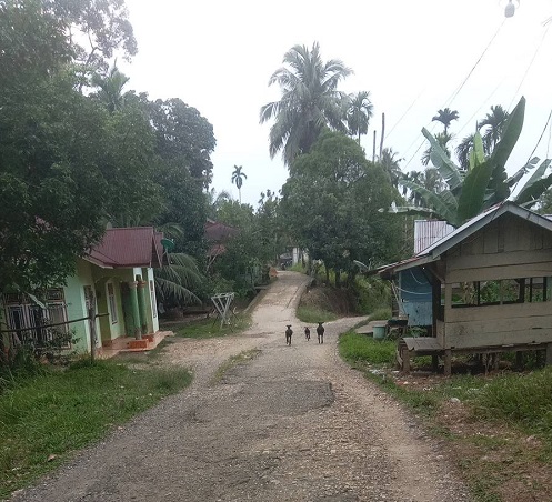 Tampak kondisi jalan dibelakang Rumah Dinas Bupati Merangin yang rusak