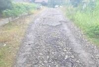 Tampak kondisi jalan desa Bukit Pulai dalam kondisi rusak parah