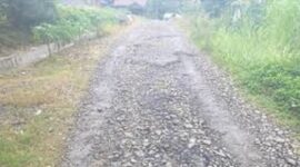 Tampak kondisi jalan desa Bukit Pulai dalam kondisi rusak parah