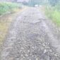 Tampak kondisi jalan desa Bukit Pulai dalam kondisi rusak parah