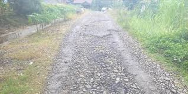 Tampak kondisi jalan desa Bukit Pulai dalam kondisi rusak parah