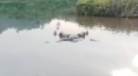 Keluarga tolak autopsi jasad yang ditemukan di danau biru merangin