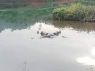 Keluarga tolak autopsi jasad yang ditemukan di danau biru merangin