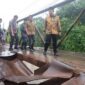 Bupati Muaro Jambi, Dr. Bambang Bayu Suseno, melakukan peninjauan langsung ke jembatan Air Hitam yang mengalami kerusakan di Desa Kebun IX. ( doc. pemkab muaro jambi)