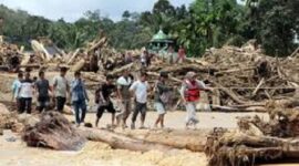 Foto; tumpukan kayo pasca banjir di Sumatera