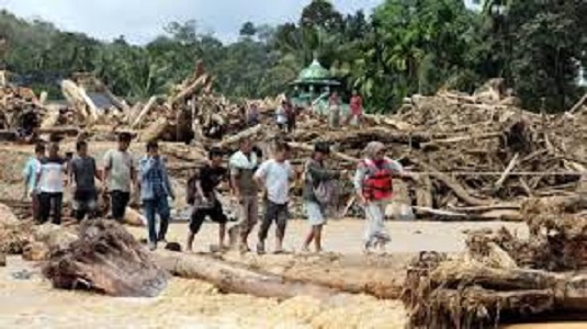Foto; tumpukan kayo pasca banjir di Sumatera