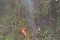 Kebakaran yang terjadi di Bukit Setiong Kota Sungai Penuh