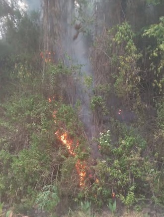 Kebakaran yang terjadi di Bukit Setiong Kota Sungai Penuh