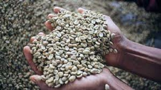 Harga Kopi cenderung stabil
