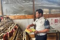 Lapas kelas IIA Jambi Panen raya ketahanan pangan