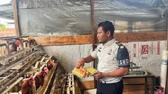 Lapas kelas IIA Jambi Panen raya ketahanan pangan