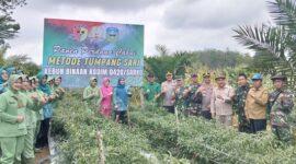 Foto bersama Bupati Sarolangun, H Hurmin bersama unsur Forkopimda dilokasi panen perdana cabai metode tumpang sari di sarolangun
