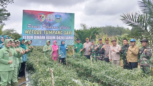 Foto bersama Bupati Sarolangun, H Hurmin bersama unsur Forkopimda dilokasi panen perdana cabai metode tumpang sari di sarolangun