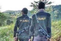 Ilustrasi pembukaan rekruitmen CPNS Polhut