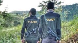 Ilustrasi pembukaan rekruitmen CPNS Polhut