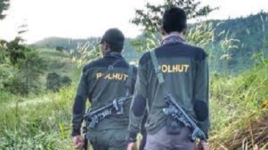 Ilustrasi pembukaan rekruitmen CPNS Polhut