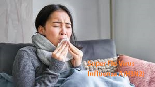 Ilustrasi Super Flu Virus Influenza A(H3N2)